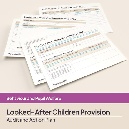 Looked-After Children Provision Audit and Action Plan