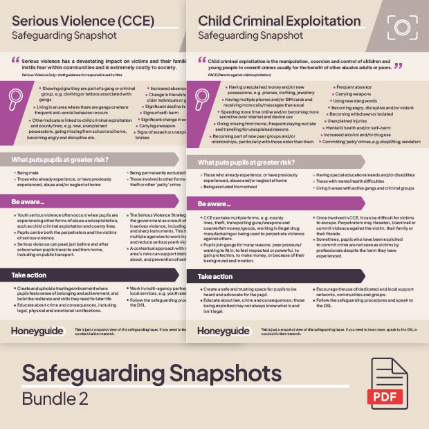 Safeguarding Snapshots Bundle 2