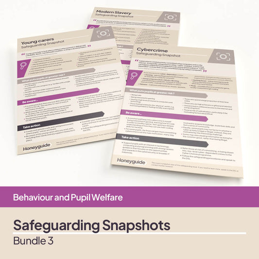 Safeguarding Snapshots Bundle 3