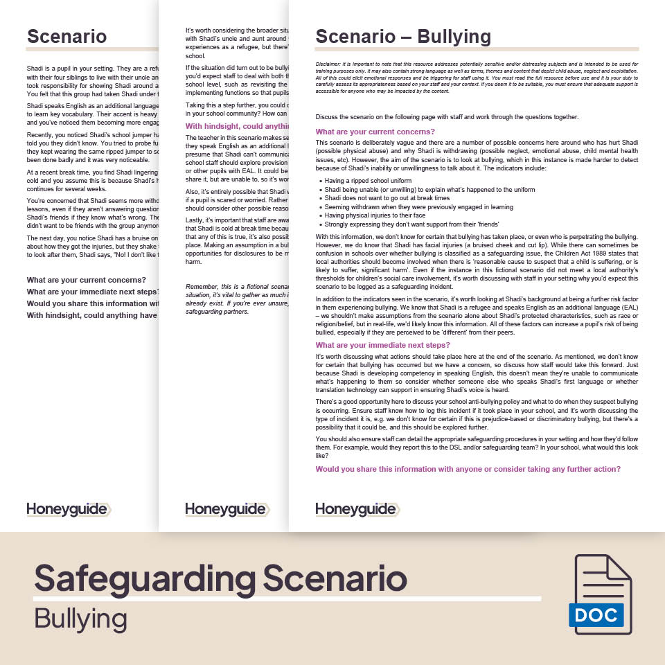 Bullying: Safeguarding Training Bundle