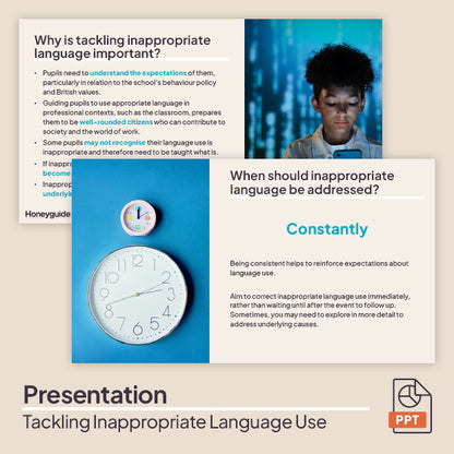 Tackling Inappropriate Language: Behaviour CPD Session