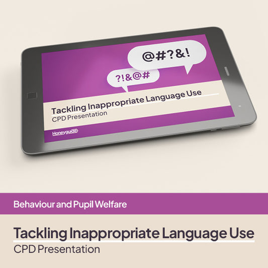Tackling Inappropriate Language: Behaviour CPD Session