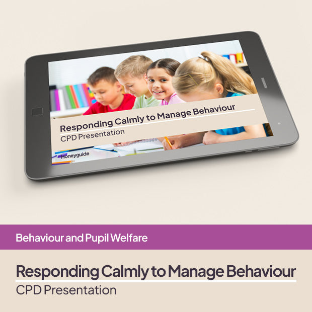 Responding Calmly to Manage Behaviour: CPD Session