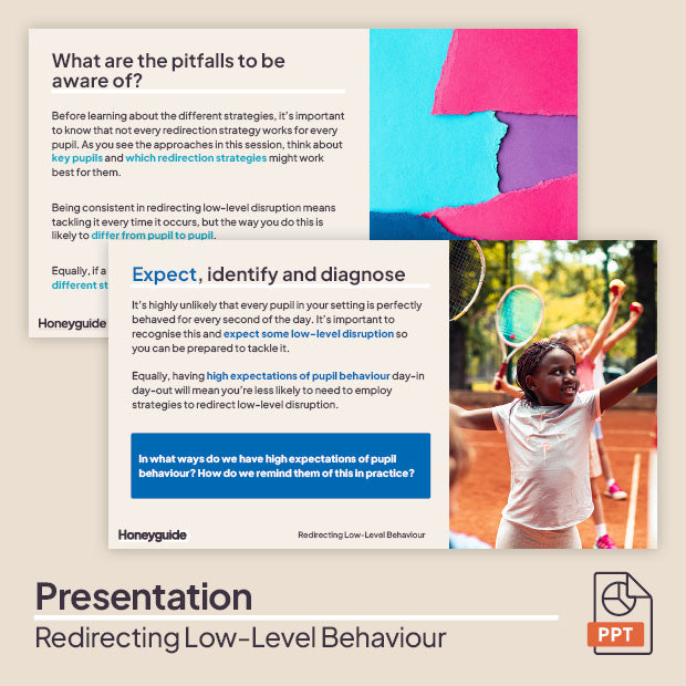 Redirecting Low-Level Behaviour: CPD Session