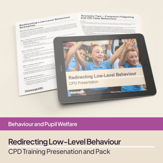 Redirecting Low-Level Behaviour: CPD Training Bundle