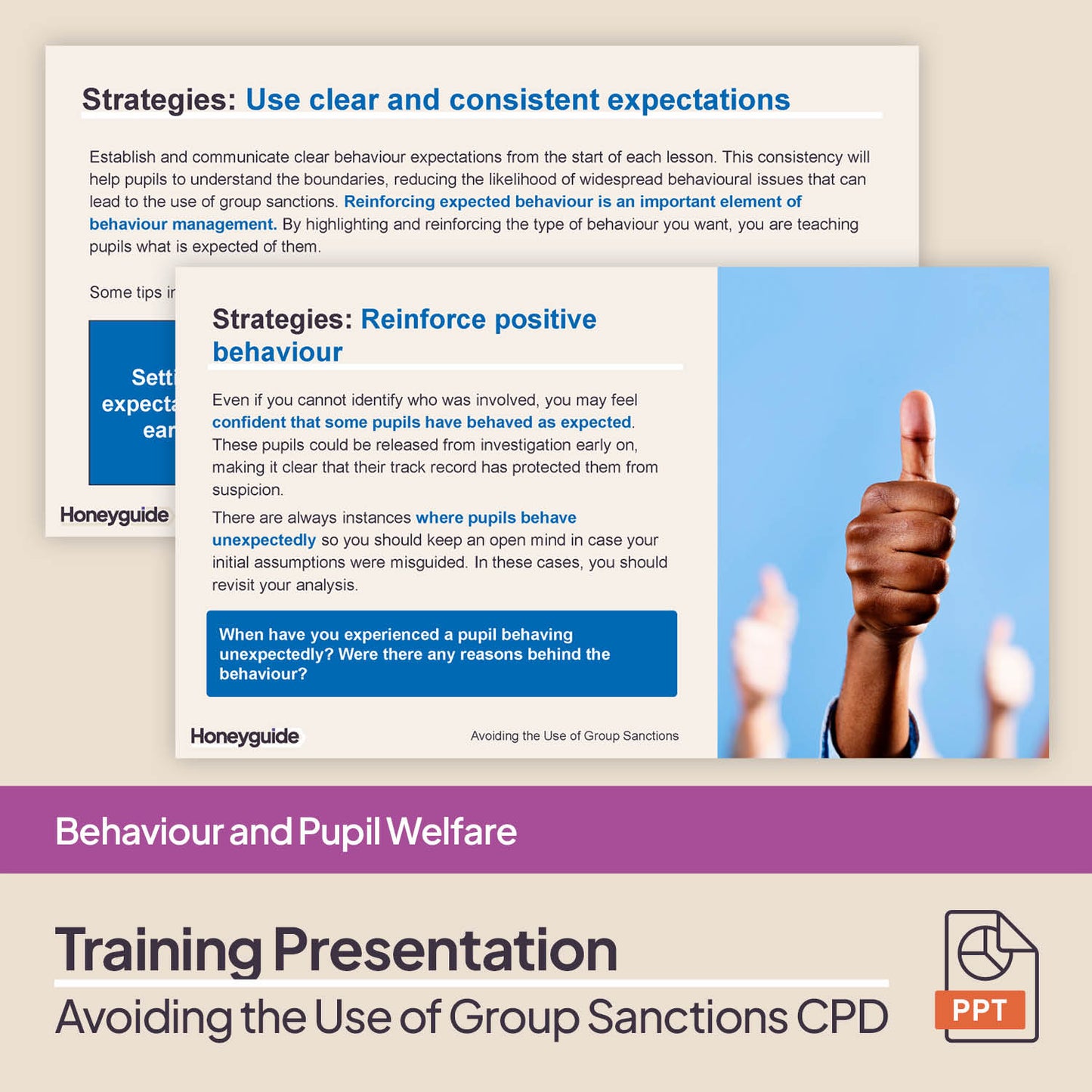 Avoiding the Use of Group Sanctions: CPD Training Bundle