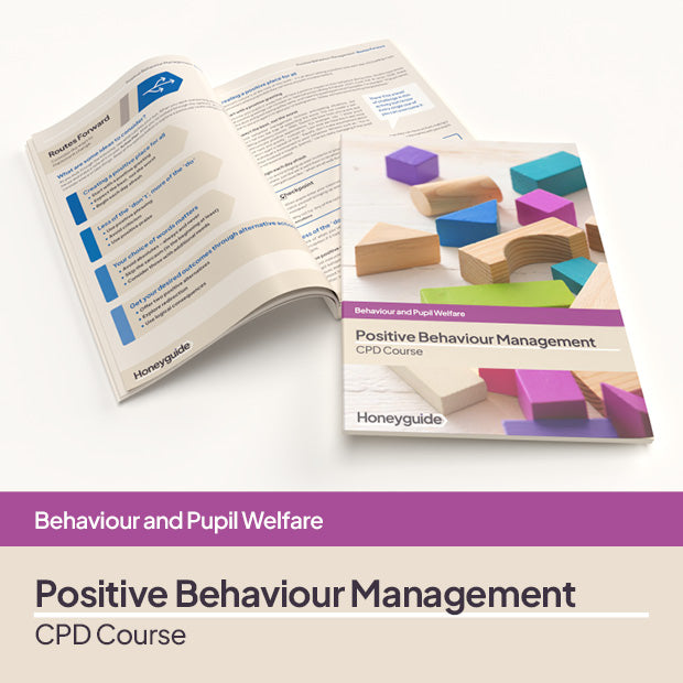 Positive Behaviour Management CPD Course