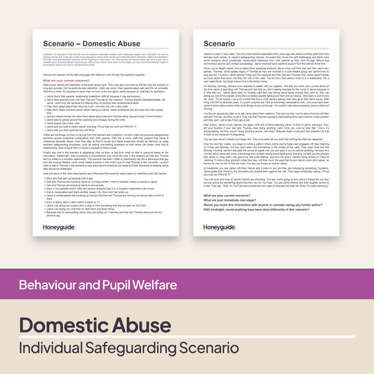 Safeguarding Scenario: Domestic Abuse