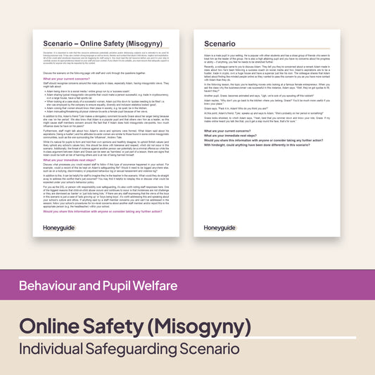Safeguarding Scenario: Online Safety (Misogyny)
