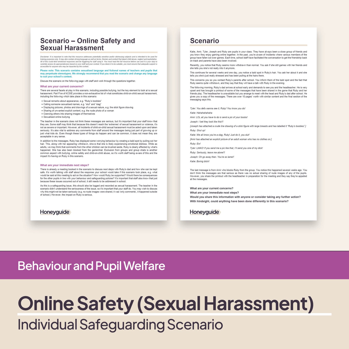 Safeguarding Scenario: Online Safety (Sexual Harassment)