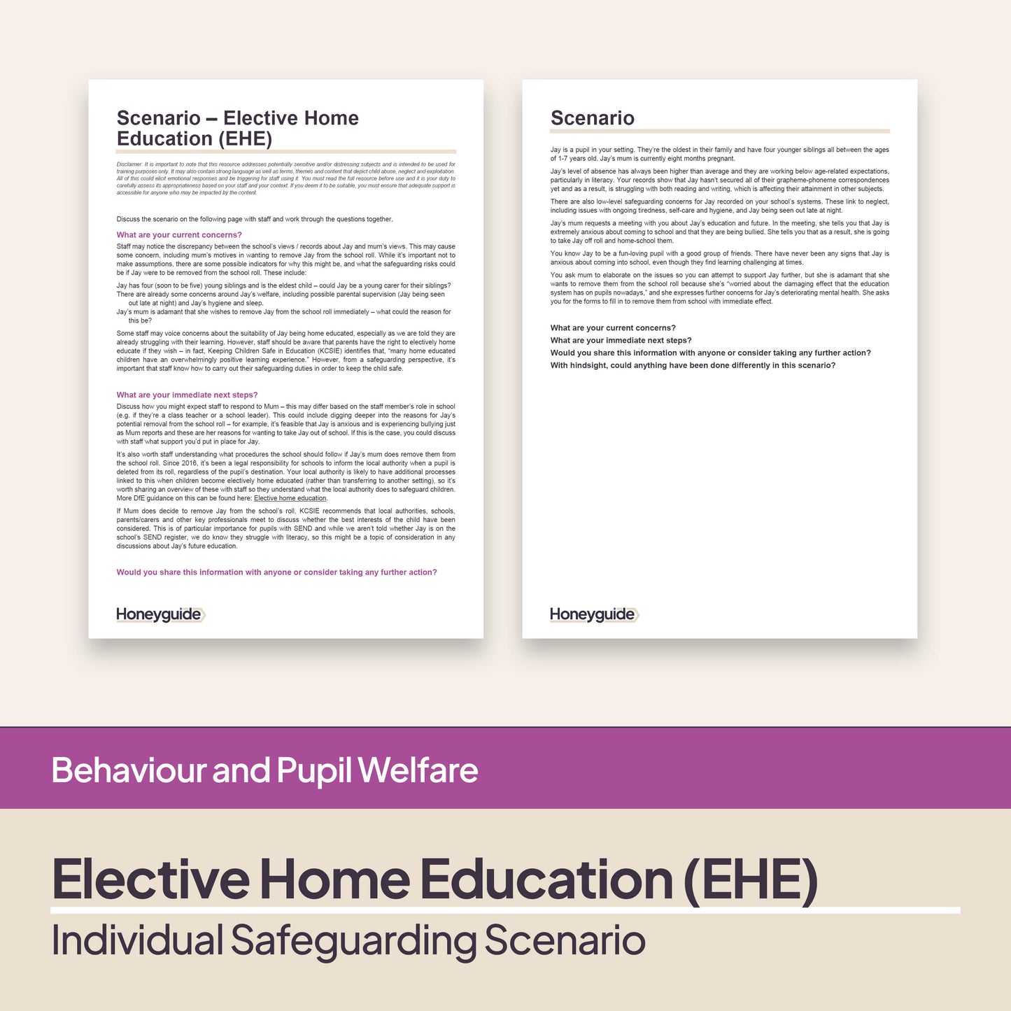 Safeguarding Scenario: Elective Home Education