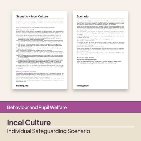 Safeguarding Scenario: Incel Culture