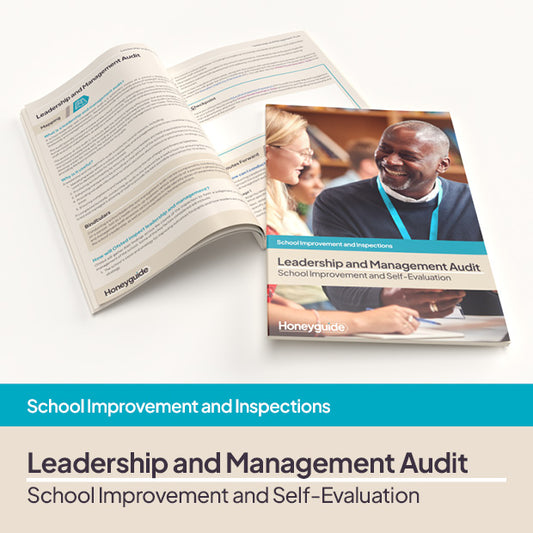 Leadership and Management Audit