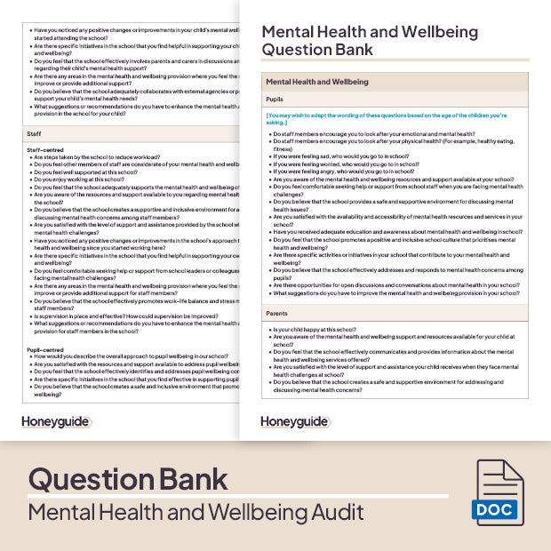 Mental Health and Wellbeing Audit
