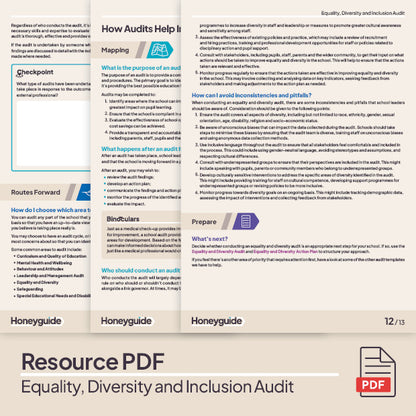 Equality, Diversity and Inclusion Audit