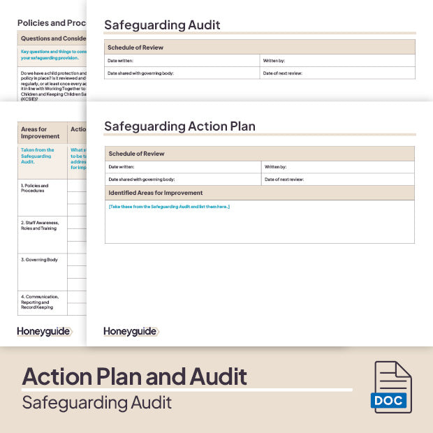 Safeguarding Audit