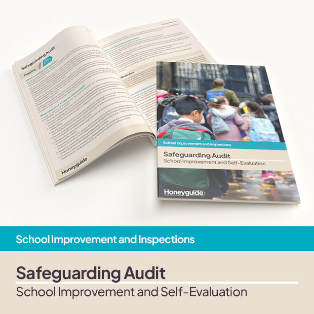 Safeguarding Audit