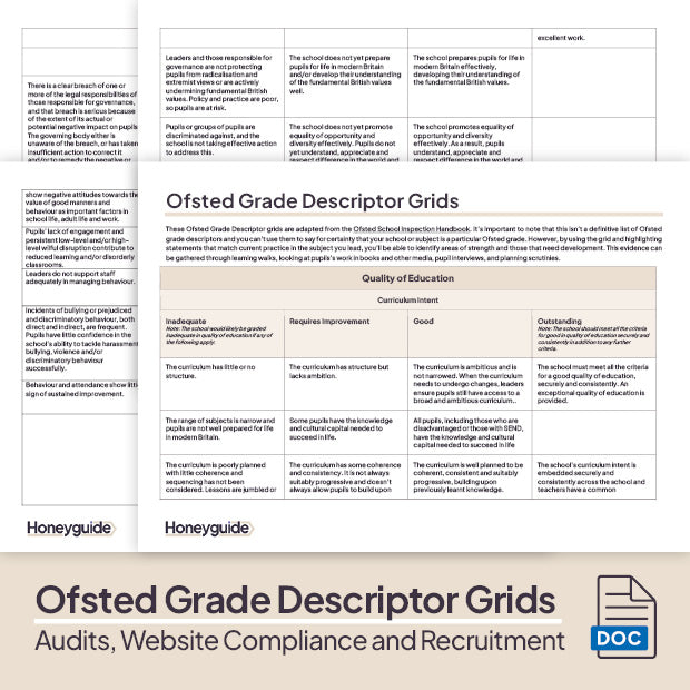 Audits, Website Compliance and Recruitment Pack