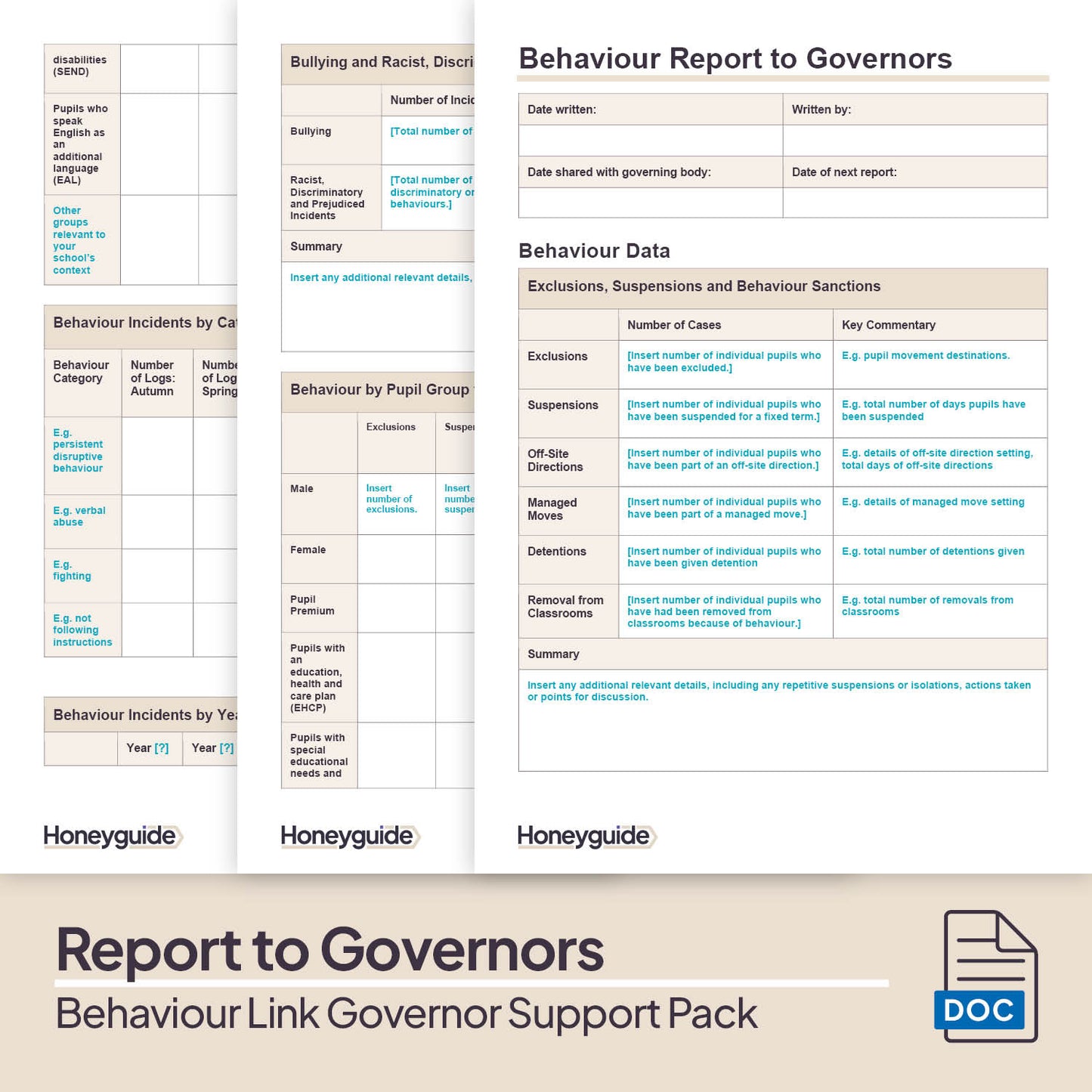 Behaviour Link Governor Support Pack