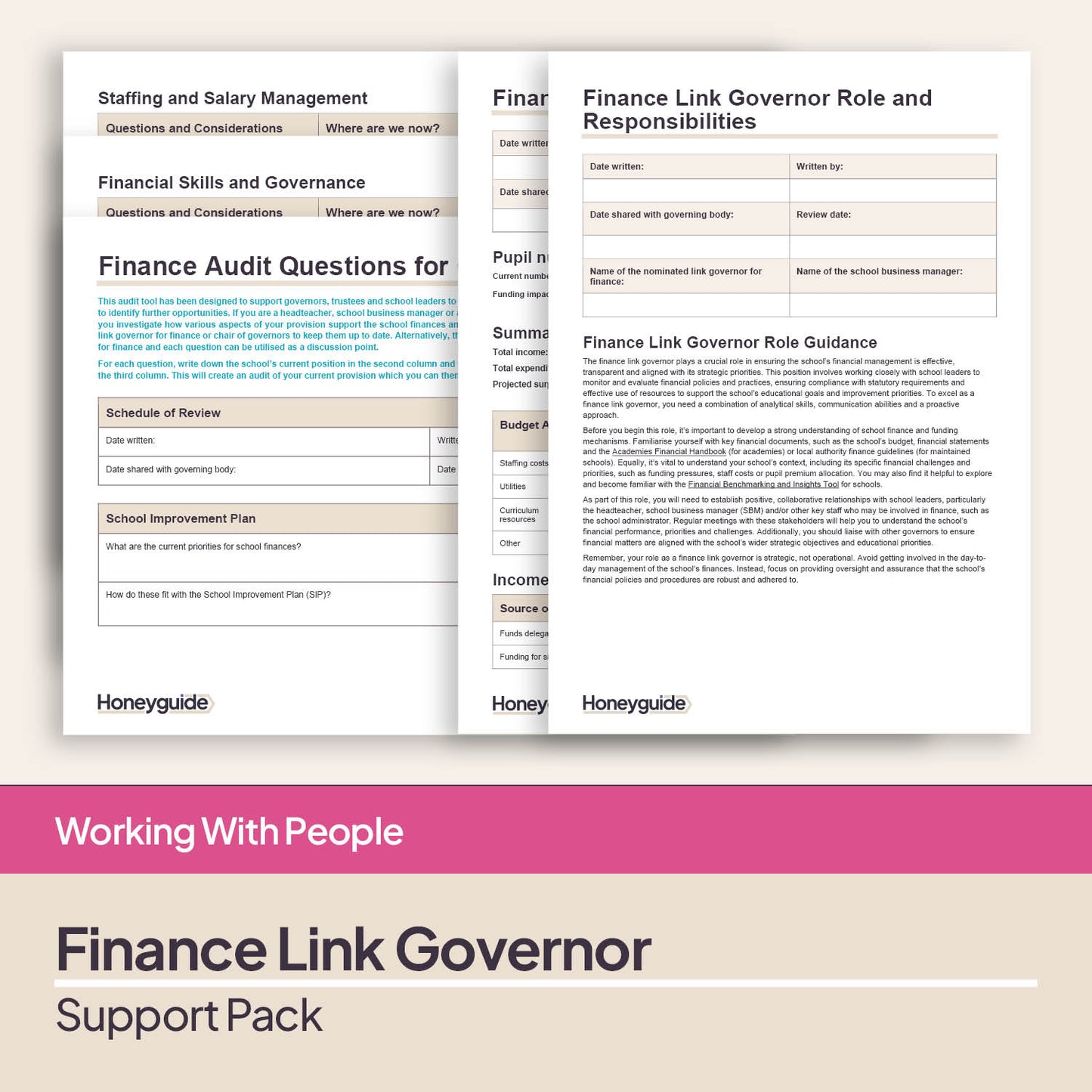 Finance Link Governor Support Pack