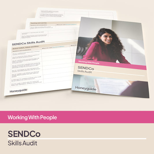 SENDCo Skills Audit Pack
